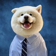 大白不是熊🐻抖音达人头像