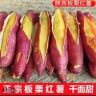 馋嘴猫抖音达人头像