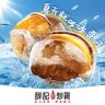 薛记炒货官方团购抖音达人头像