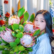 花五鲜花抖音达人头像