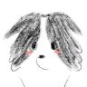 猫猫派掌门抖音达人头像
