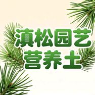 滇松腐殖土批发抖音达人头像