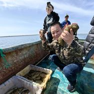 老四排刺海参抖音达人头像