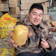 甘肃土豆哥（甘小豆）抖音达人头像