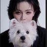 宝总不吃鱼抖音达人头像