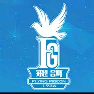 飞鸽长盈专卖店抖音达人头像