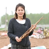 山药状元【铁棍山药】抖音达人头像