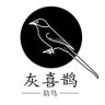 灰喜鹊®一根线防鸟（每家必用）抖音达人头像