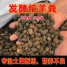 严农牧业-纯羊粪发酵肥抖音达人头像