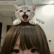 黑枸杞抖音达人头像
