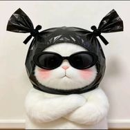小包总📈抖音达人头像
