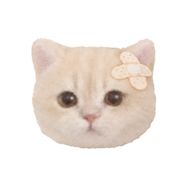 小柚猫猫抖音达人头像