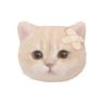 小柚猫猫抖音达人头像
