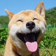 大嘴鉴万物抖音达人头像