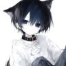 ではこ猫抖音达人头像
