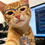 A Cat RC抖音达人头像