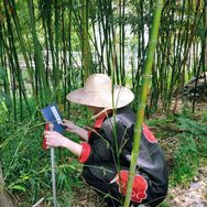 肉吃面条抖音达人头像