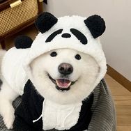 肥皂的日记抖音达人头像