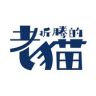 折腾的老猫抖音达人头像