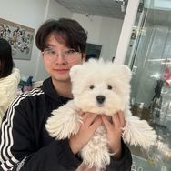 杭州西高地犬舍｜小宇抖音达人头像