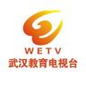 武汉教育电视台抖音达人头像