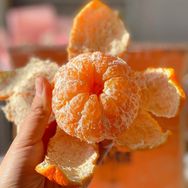 好吃的沃柑🍊抖音号头像