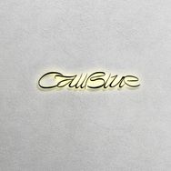 呼叫小蓝CallBlue抖音达人头像