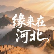 缘来在河北抖音达人头像