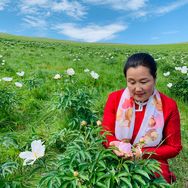 乌仁姐蒙古美食抖音达人头像