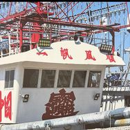虾仁 海虾仁抖音达人头像