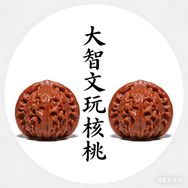 大智文玩核桃抖音达人头像