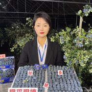 高书助农与花香蓝莓🫐抖音号头像