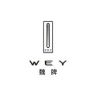 魏你放心抖音达人头像