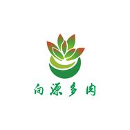 向源多肉养护抖音达人头像