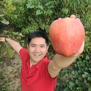 兆如丰李老板抖音号头像