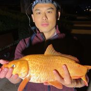 钓鳝阿晶🦨抖音达人头像