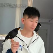 八哥毛毛虫抖音达人头像