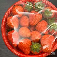 一次性保鲜膜套  加厚加大保鲜膜抖音达人头像