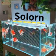 鱼缸过滤（Solorn梭伦周转箱）抖音达人头像
