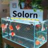 鱼缸过滤（Solorn梭伦周转箱）抖音达人头像
