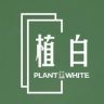 植白多肉小院抖音达人头像