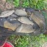 垂隐生物抖音达人头像