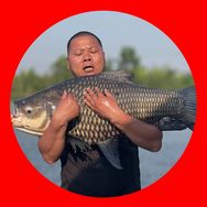 鲫鱼大叔抖音达人头像