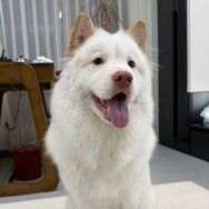 鹿鹿土松甄选抖音达人头像