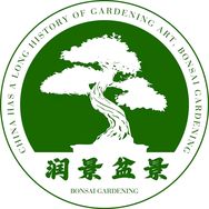 润景盆景园艺抖音达人头像