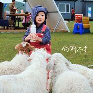 大圆小C抖音达人头像