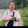 新农记_阿文抖音达人头像