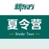 新东方夏令营抖音达人头像