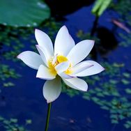 小小的你抖音达人头像
