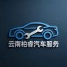 云南柏睿汽车服务抖音达人头像